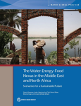 The water-energy-food nexus in the Middle East and North Africa: scenarios for a sustainable future