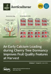 Horticulturae, vol. 7, n. 6 - June 2021 - An Early Calcium Loading during Cherry Tree Dormancy Improves Fruit Quality Features at Harvest 