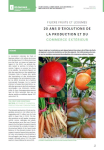 Filière fruits et légumes - 20 ans d'évolutions de la production et du commerce extérieur