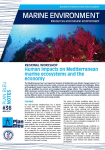 Human impacts on Mediterranean marine ecosystems and the economy