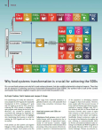 Why food systems transformation is crucial for achieving the SDGs