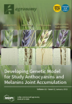Agronomy, vol. 12, n. 1 - January 2022 - Effects of combining the genes controlling anthocyanin and melanin synthesis in the barley grain on pigment accumulation and plant development 