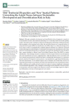 ‘Old’ territorial disparities and ‘new’ spatial patterns: unraveling the latent nexus between sustainable development and desertification risk in Italy