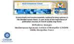 Economically and environmentally resilient farming systems in the Mediterranean Basin. A case study of the importance of pollination services in French arable crop farms
