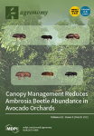 Agronomy, vol. 12, n. 3 - March 2022 - Canopy management reduces ambrosia beetle abundance in avocado orchards