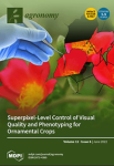 Agronomy, vol. 12, n. 6 - June 2022 - Superpixel-level control of visual quality and phenotyping for ornamental crops