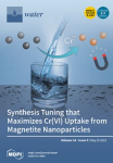Water, vol. 14, n. 9 - May 2022 - Synthesis tuning that maximizes Cr(VI) uptake from magnetite nanoparticles