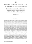 Circular bioeconomy of agri-food value chains: innovative, sustainable, and circular business models' contributions to sustainable diets and food systems