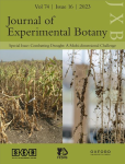 Journal of Experimental Botany, vol. 74, n. 16 - September 2023 - Special issue: Combatting drought: a multi-dimensional challenge 