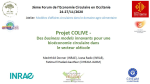 Projet COLIVE : des business models innovants pour une bioéconomie circulaire dans le secteur oléicole