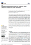 Economic implications for farmers in adopting climate adaptation measures in Italian agriculture