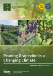 Agronomy, vol. 13, n. 5 - May 2023 - Pruning grapevine in a changing climate