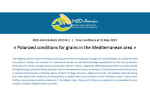 Crop conditions at 10 May 2023: Polarized conditions for grains in the Mediterranean area