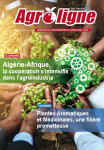 Agroligne, n. 120 - Septembre-Décembre 2023 - Algérie - Afrique, la coopération s'intensifie dans l'agro-industrie