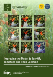 Agronomy, vol. 13, n. 9 - September 2023 - Improving the model to identify tomatoes an their location