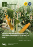 Agronomy, vol. 13, n. 7 - July 2023 - Genetics and environment's role in Fusarium graminearum resistance in maize