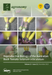 Agronomy, vol. 13, n. 11 - November 2023 - Reproductive biology of the Australian bush tomato Solanum orbiculatum