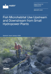 Water, vol. 16, n. 1 - January 2024 - Fish microhabitat use upstream and downstream from small hydropower plants