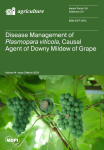 Agriculture, vol. 14, n. 3 - March 2024 - Disease management of Plasmopara viticola, causal agent of Downy Mildew of Grape