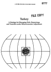 Turkey: a strategy for managing debt, borrowings and transfers under macroeconomic adjustment
