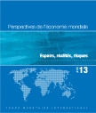Perspectives de l'économie mondiale 2013 : espoirs, réalités, risques.