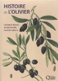 Histoire de l'olivier : l'arbre des temps