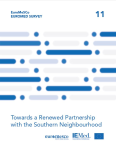 Euromed survey 2020: Towards a renewed partnership with the Southern neighbourhood