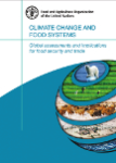 Climate change and food systems: global assessments and implications for food security and trade