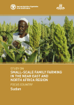 Study on small-scale family farming in the Near East and North Africa region. Focus country: Sudan