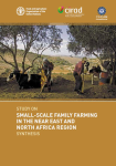 Study on small-scale family farming in the Near East and North Africa region: synthesis