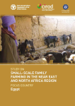 Study on small-scale family farming in the Near East and North Africa region. Focus country: Egypt