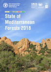 State of Mediterranean forest 2018