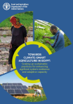 Towards climate-smart agriculture in Egypt: scaling up sustainable practices for enhancing agrifood system resilience and adaptive capacity