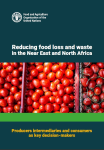 Reducing food loss and waste in the Near East and North Africa: producers, intermediaries and consumers as key decision-makers