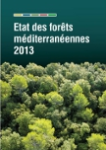 Etat des forêts méditerranéennes 2013