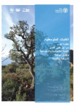 Forêts méditerranéennes : un pas de plus vers une meilleure reconnaissance de leur valeur économique et sociale et vers une gouvernance participative et territoriale renforcée [version arabe]