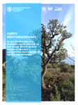 Forêts méditerranéennes : un pas de plus vers une meilleure reconnaissance de leur valeur économique et sociale et vers une gouvernance participative et territoriale renforcée