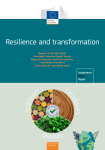 Resilience and transformation