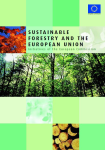 Sustainable forestry and the European Union: initiatives of the European Commission