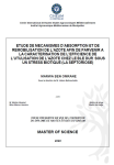 Etude de mécanismes dabsorption et de remobilisation de lazote afin de parvenir à la caractérisation de lefficience de lutilisation de lazote chez le blé dur sous un stress biotique (la septoriose)