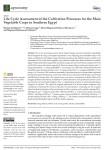 Life cycle assessment of the cultivation processes for the main vegetable crops in Southern Egypt