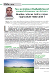 Face au manque structurel deau et au renchérissement des intrants : quelles cultures doit favoriser lagriculture marocaine ?