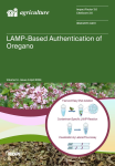 Agriculture, vol. 14, n. 4 - April 2024 - LAMP-based authentication of oregano