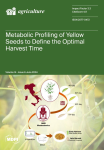 Agriculture, vol. 14, n. 6 - June 2024 - Metabolic profiling of yellow seeds to define the optimal harvest time