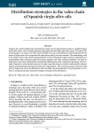 Distribution strategies in the value chain of Spanish virgin olive oils