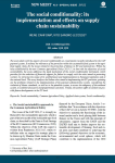 The social conditionality: its implementation and effects on supply chain sustainability