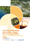 Interlinking climate change with the Water - Energy - Food - Ecosystems (WEFE) nexus in the Mediterranean basin