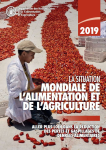 Aller plus loin dans la réduction des pertes et gaspillages de denrées alimentaires. La situation mondiale de l'alimentation et de l'agriculture 2019