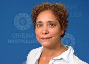 Publications de Fatima El Hadad-Gauthier