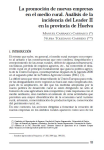 La promoci&oacute;n de nuevas empresas en el medio rural. An&aacute;lisis de la incidencia del Leader II en la provincia de Huelva